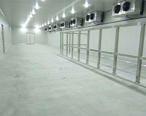 裝100噸凍貨冷庫(kù)需要建多大平米，建一個(gè)多少錢