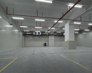 建200噸氣調(diào)庫多少錢？存放葡萄、獼猴桃