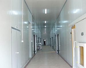 建造保鮮冷庫(kù)多少錢一平米，葡萄冷藏用氣調(diào)庫(kù)
